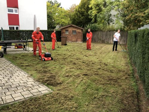 Gartenarbeit Herbst 2019